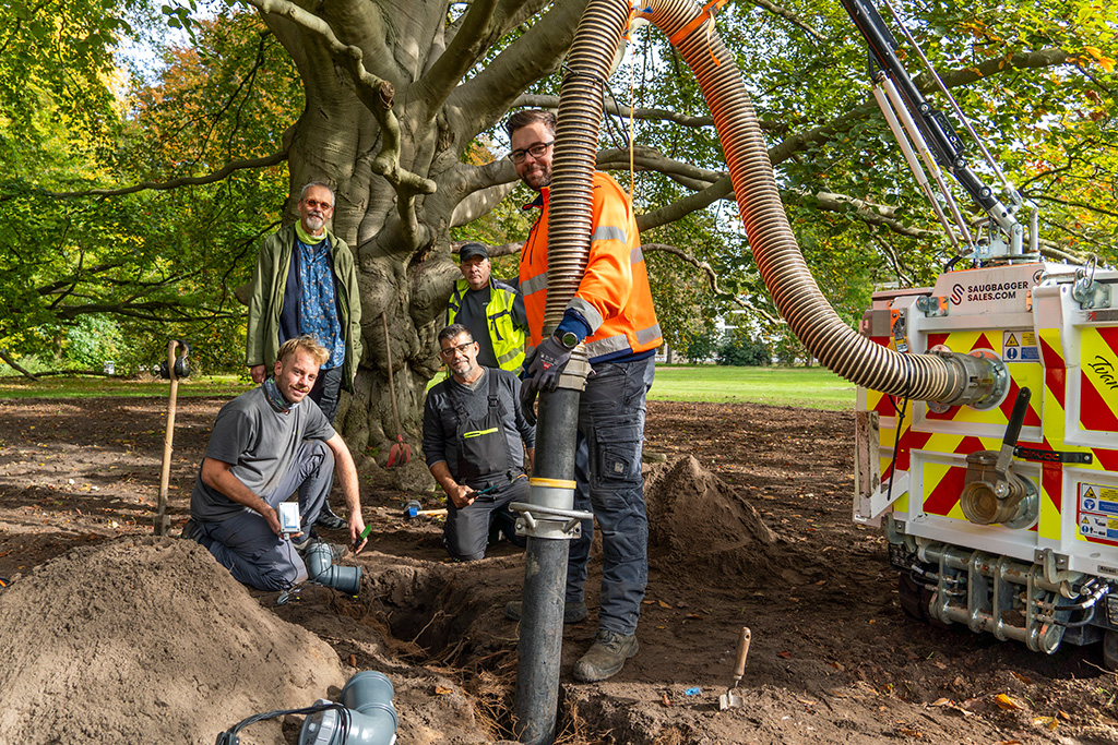 Sensoren helfen Kurpark-Bäume zu erhalten