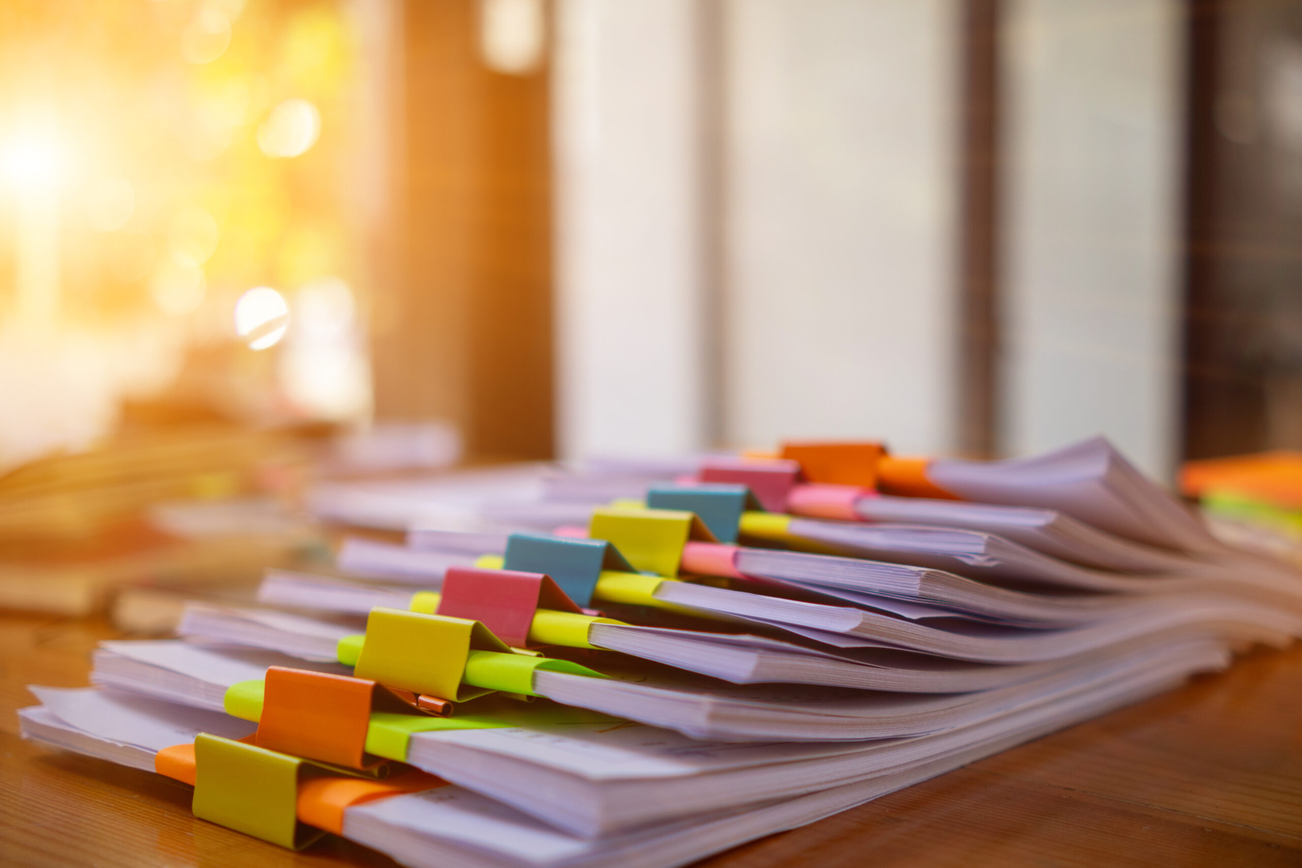 Einführung eines verwaltungsweiten Dokumentenmanagementsystem zur elektronischen Aktenführung